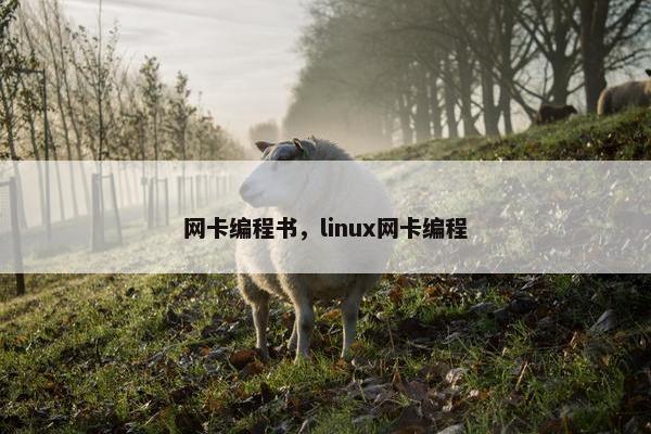 网卡编程书，linux网卡编程