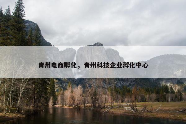 青州电商孵化，青州科技企业孵化中心
