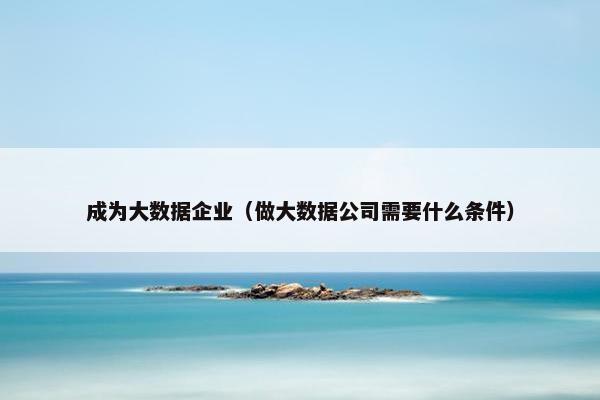 成为大数据企业（做大数据公司需要什么条件）