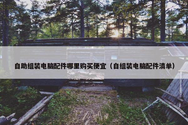 自助组装电脑配件哪里购买便宜（自组装电脑配件清单）