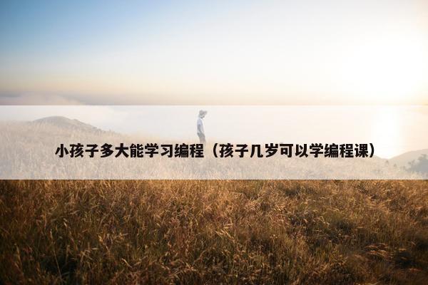 小孩子多大能学习编程（孩子几岁可以学编程课）