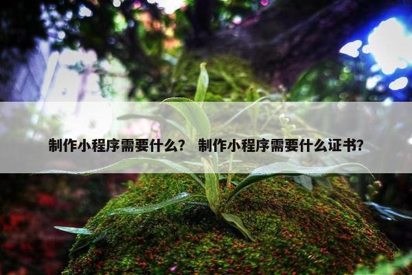 制作小程序需要什么？ 制作小程序需要什么证书？