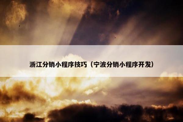 浙江分销小程序技巧（宁波分销小程序开发）