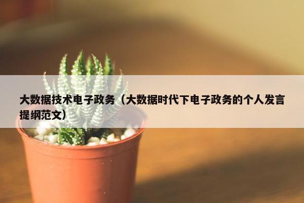 大数据技术电子政务（大数据时代下电子政务的个人发言提纲范文）
