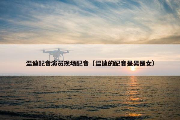 温迪配音演员现场配音（温迪的配音是男是女）
