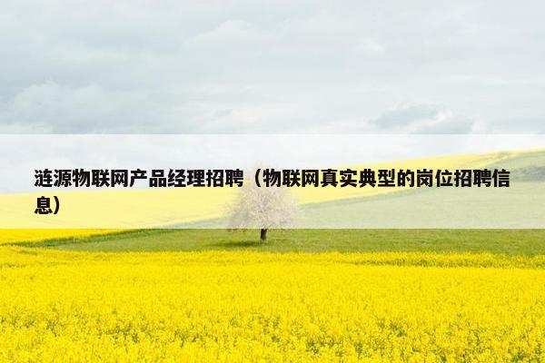 涟源物联网产品经理招聘（物联网真实典型的岗位招聘信息）