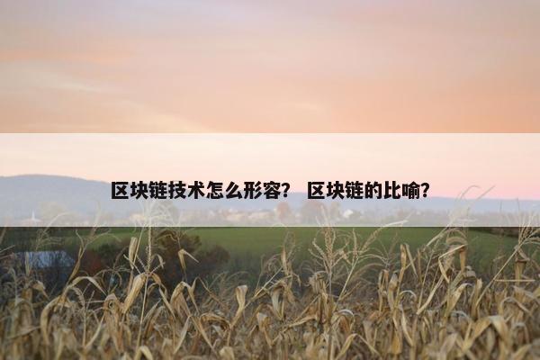 区块链技术怎么形容？ 区块链的比喻？