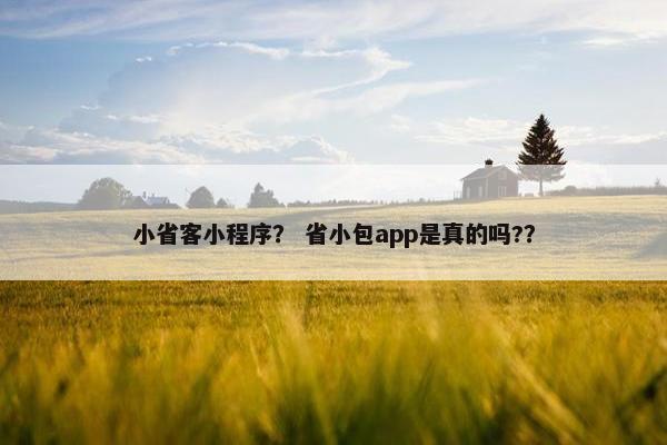 小省客小程序？ 省小包app是真的吗?？
