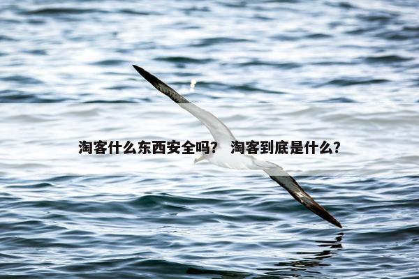 淘客什么东西安全吗？ 淘客到底是什么？