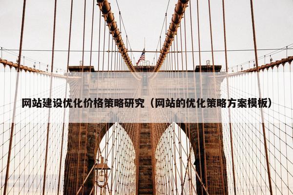 网站建设优化价格策略研究（网站的优化策略方案模板）
