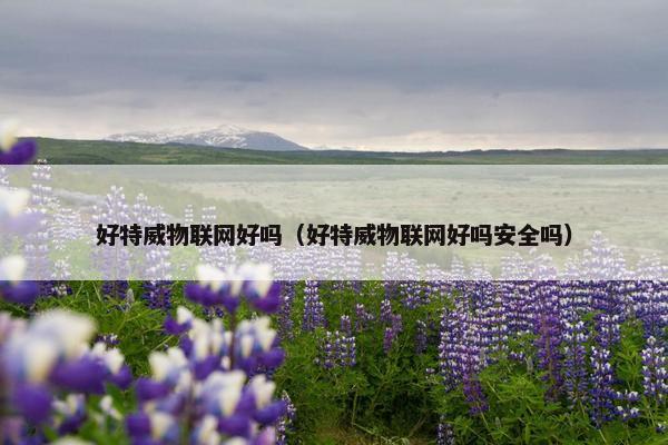 好特威物联网好吗（好特威物联网好吗安全吗）