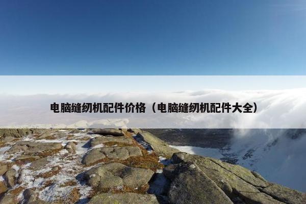 电脑缝纫机配件价格（电脑缝纫机配件大全）