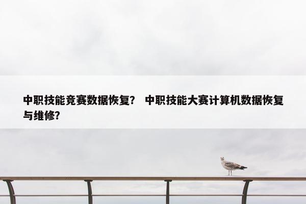 中职技能竞赛数据恢复？ 中职技能大赛计算机数据恢复与维修？