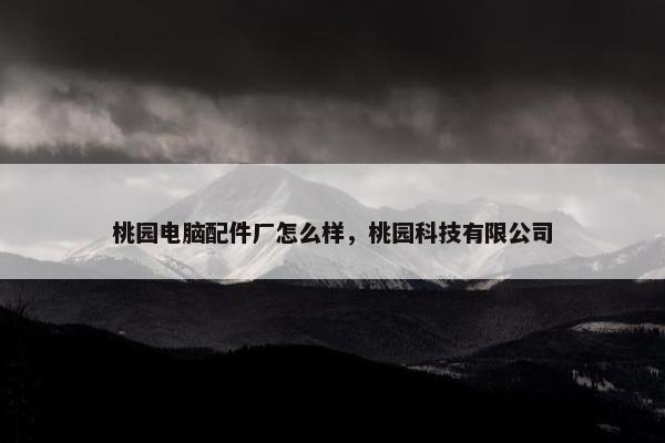 桃园电脑配件厂怎么样，桃园科技有限公司