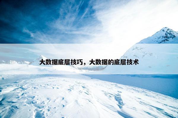 大数据底层技巧，大数据的底层技术
