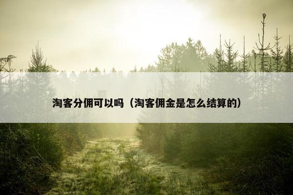 淘客分佣可以吗（淘客佣金是怎么结算的）