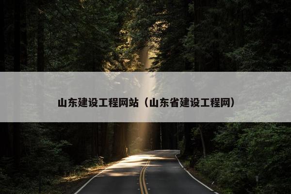 山东建设工程网站（山东省建设工程网）