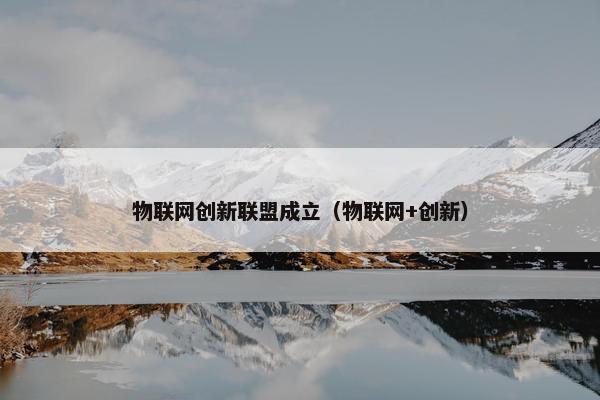 物联网创新联盟成立（物联网+创新）