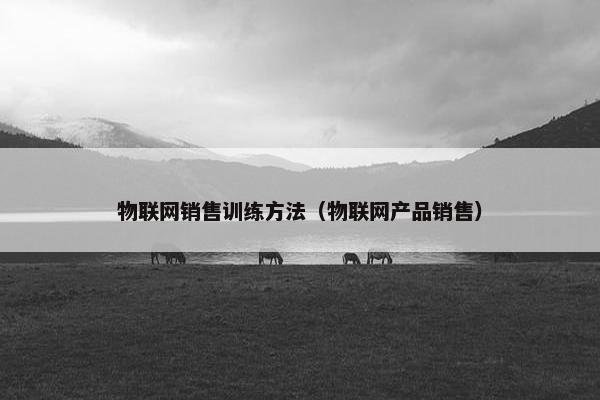 物联网销售训练方法（物联网产品销售）