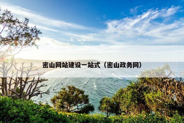 密山网站建设一站式（密山政务网）