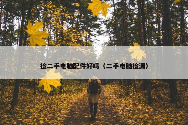 捡二手电脑配件好吗（二手电脑捡漏）