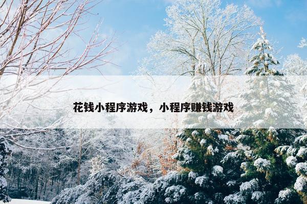 花钱小程序游戏，小程序赚钱游戏