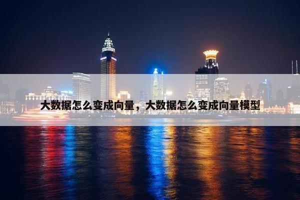 大数据怎么变成向量，大数据怎么变成向量模型