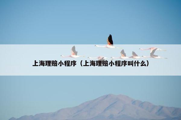 上海理赔小程序（上海理赔小程序叫什么）