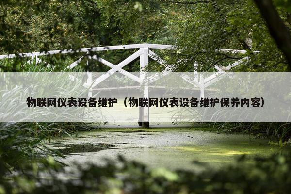 物联网仪表设备维护（物联网仪表设备维护保养内容）