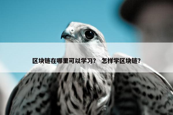 区块链在哪里可以学习？ 怎样学区块链？