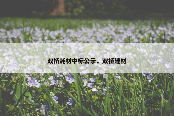 双桥耗材中标公示，双桥建材