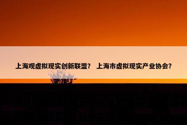 上海观虚拟现实创新联盟？ 上海市虚拟现实产业协会？