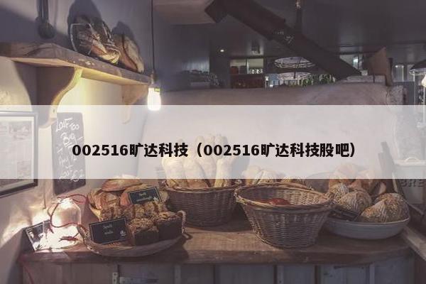 002516旷达科技（002516旷达科技股吧）
