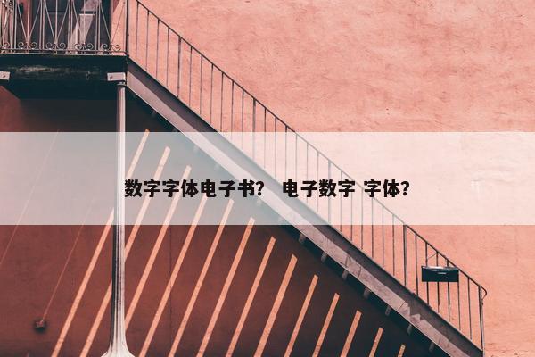 数字字体电子书？ 电子数字 字体？