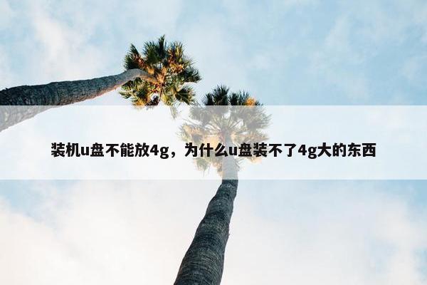 装机u盘不能放4g，为什么u盘装不了4g大的东西
