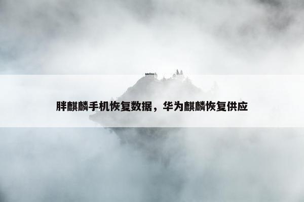 胖麒麟手机恢复数据，华为麒麟恢复供应