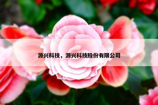 源兴科技，源兴科技股份有限公司