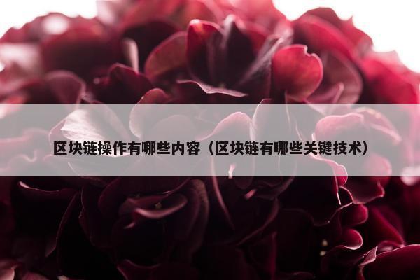 区块链操作有哪些内容（区块链有哪些关键技术）