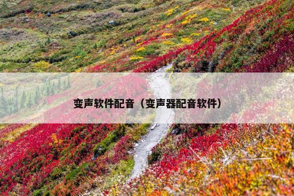 变声软件配音（变声器配音软件）