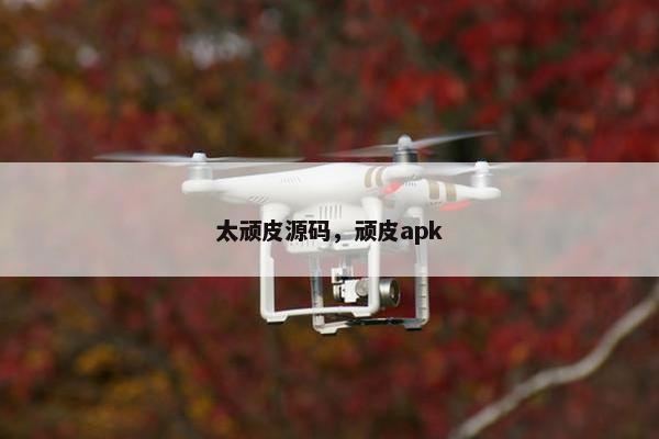 太顽皮源码，顽皮apk