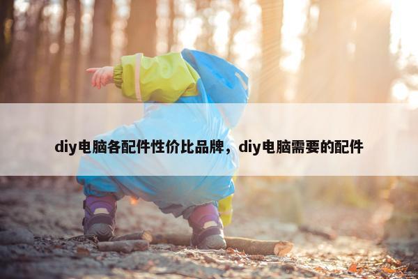 diy电脑各配件性价比品牌，diy电脑需要的配件