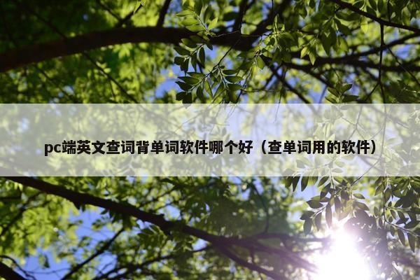 pc端英文查词背单词软件哪个好（查单词用的软件）