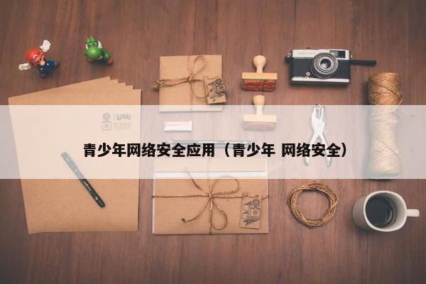 青少年网络安全应用（青少年 网络安全）