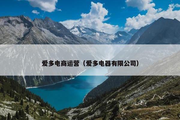 爱多电商运营（爱多电器有限公司）