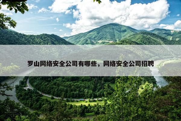 罗山网络安全公司有哪些，网络安全公司招聘