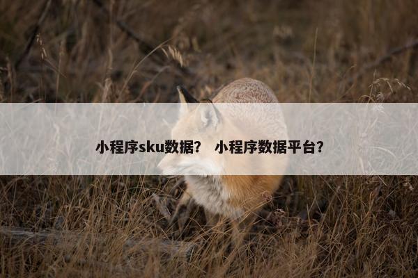 小程序sku数据？ 小程序数据平台？
