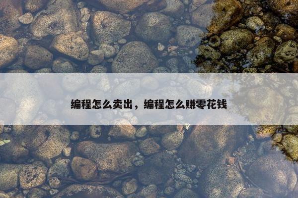 编程怎么卖出，编程怎么赚零花钱
