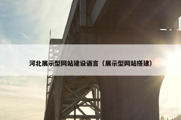 河北展示型网站建设语言（展示型网站搭建）