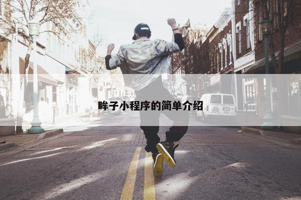 眸子小程序的简单介绍