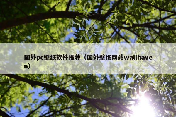 国外pc壁纸软件推荐（国外壁纸网站wallhaven）